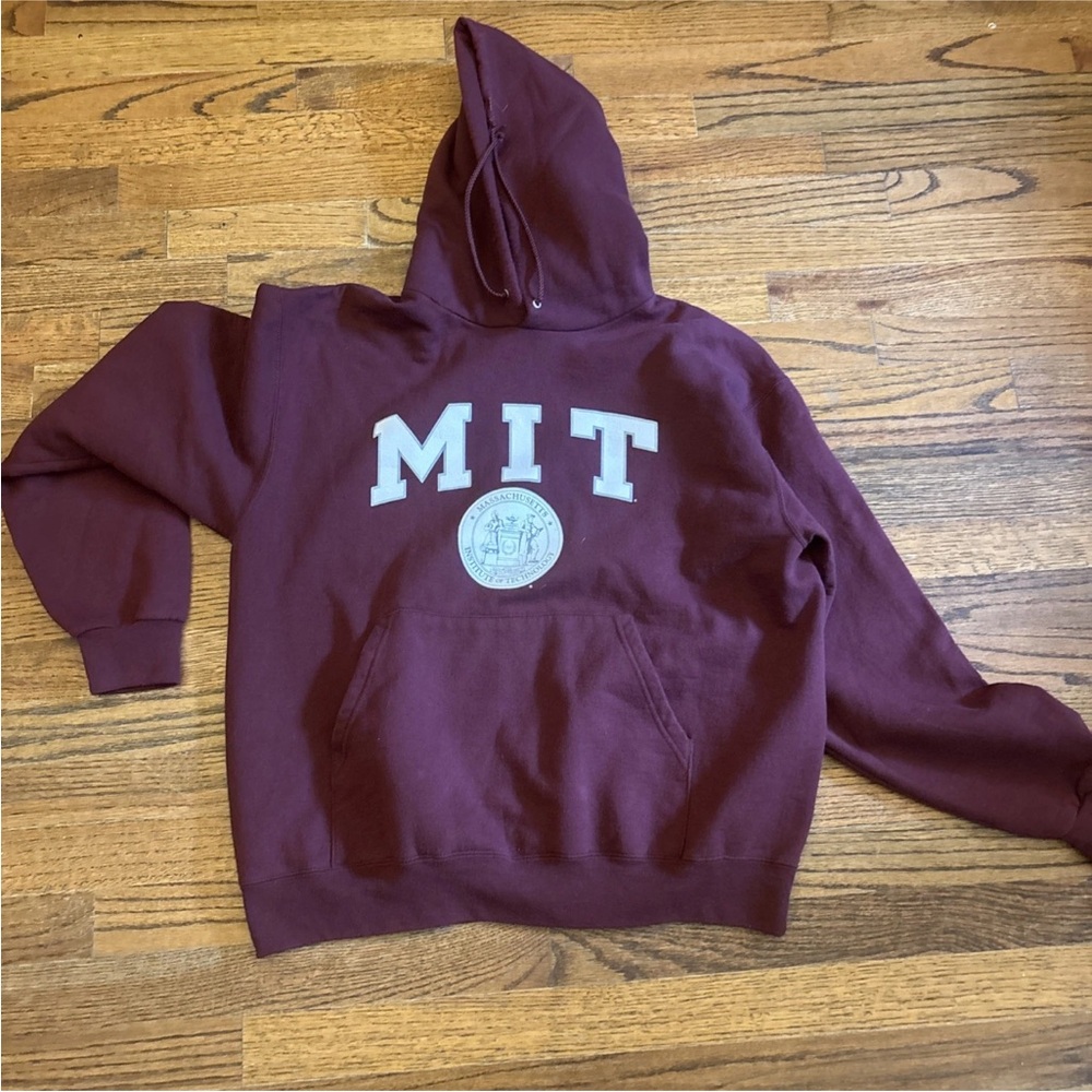 Champion Burgundy Hoodie Sweater